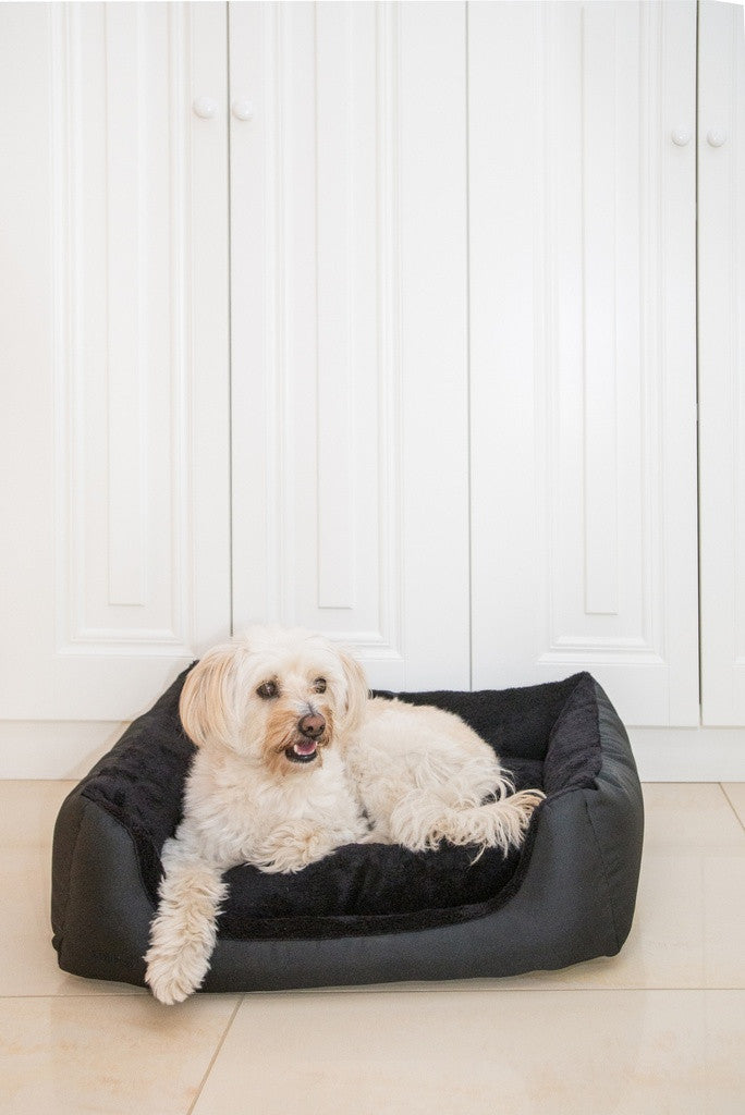 Amiplay Aspen XL hundsäng soffa svart 90x72x22cm