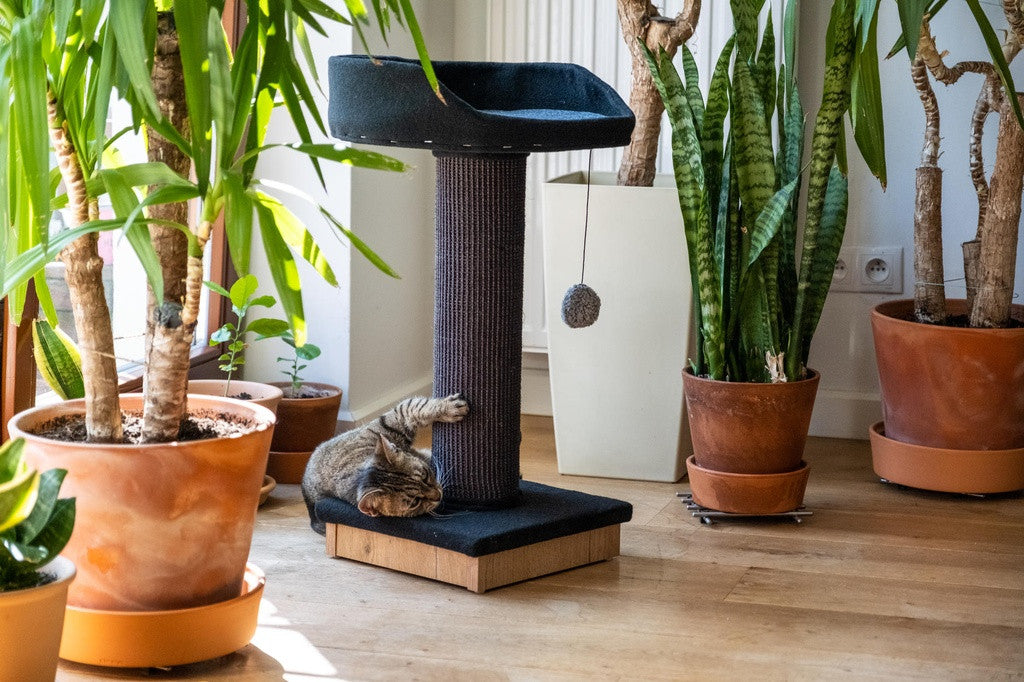 Ecomfy Alex kissan raapimatolppa pedillä musta 67,5cm