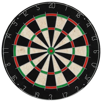 Professionell sisaldarttavla med 6 dartpilar och kant