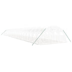 Kasvihuone teräsrungolla valkoinen 96 m² 24x4x2 m