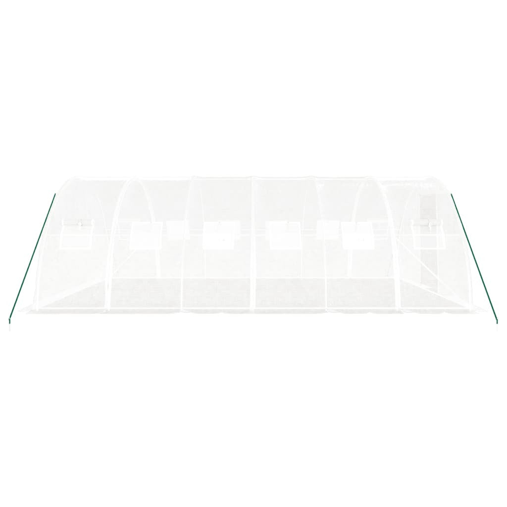 Kasvihuone teräsrungolla valkoinen 24 m² 6x4x2 m