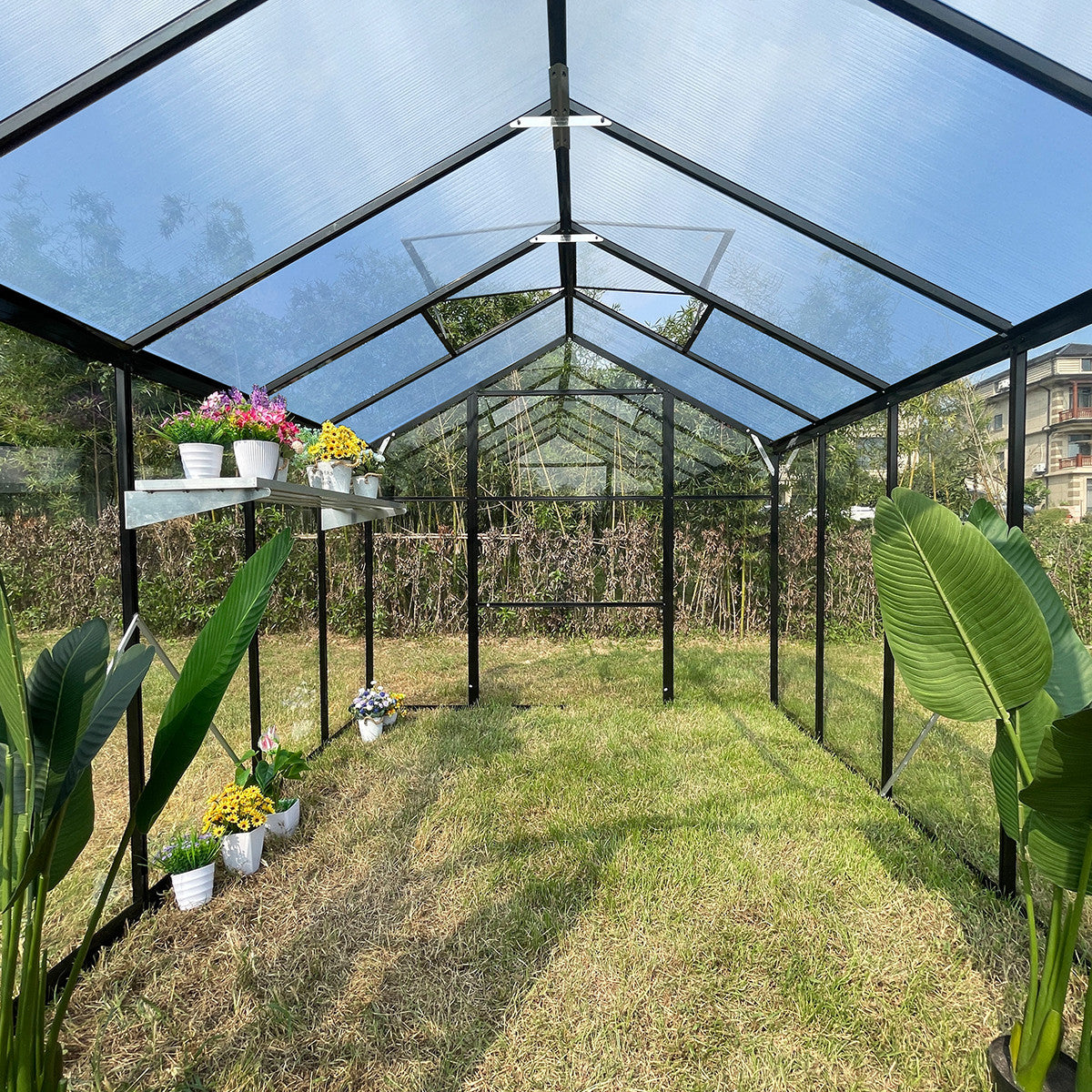 Glasväxthus 8,6 m² – aluminiumram, härdat glas, tak av polykarbonat