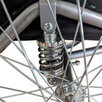 Polkupyörän peräkärry 1–2 lapselle – 2-in-1, 40 kg, 5-pistevaljaat