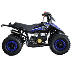 POHJOLA MOTORS Lasten Minimönkijä DINO 49cc - Sininen