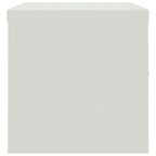 Arkistokaappi vaaleanharmaa 90x40x40 cm teräs