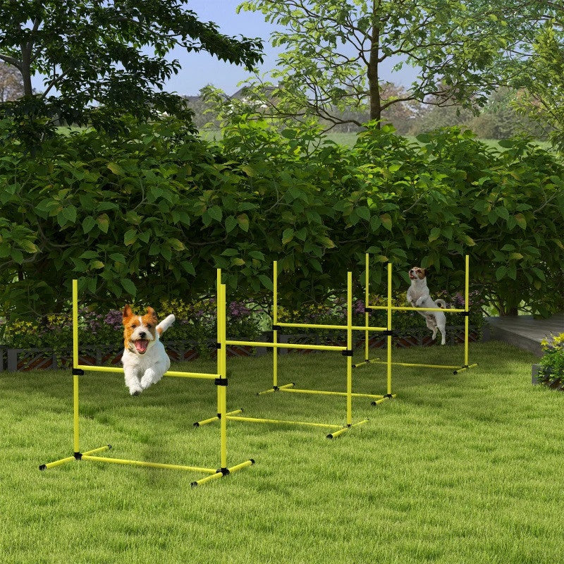 Agility-set, bärväska, slitstark, gul
