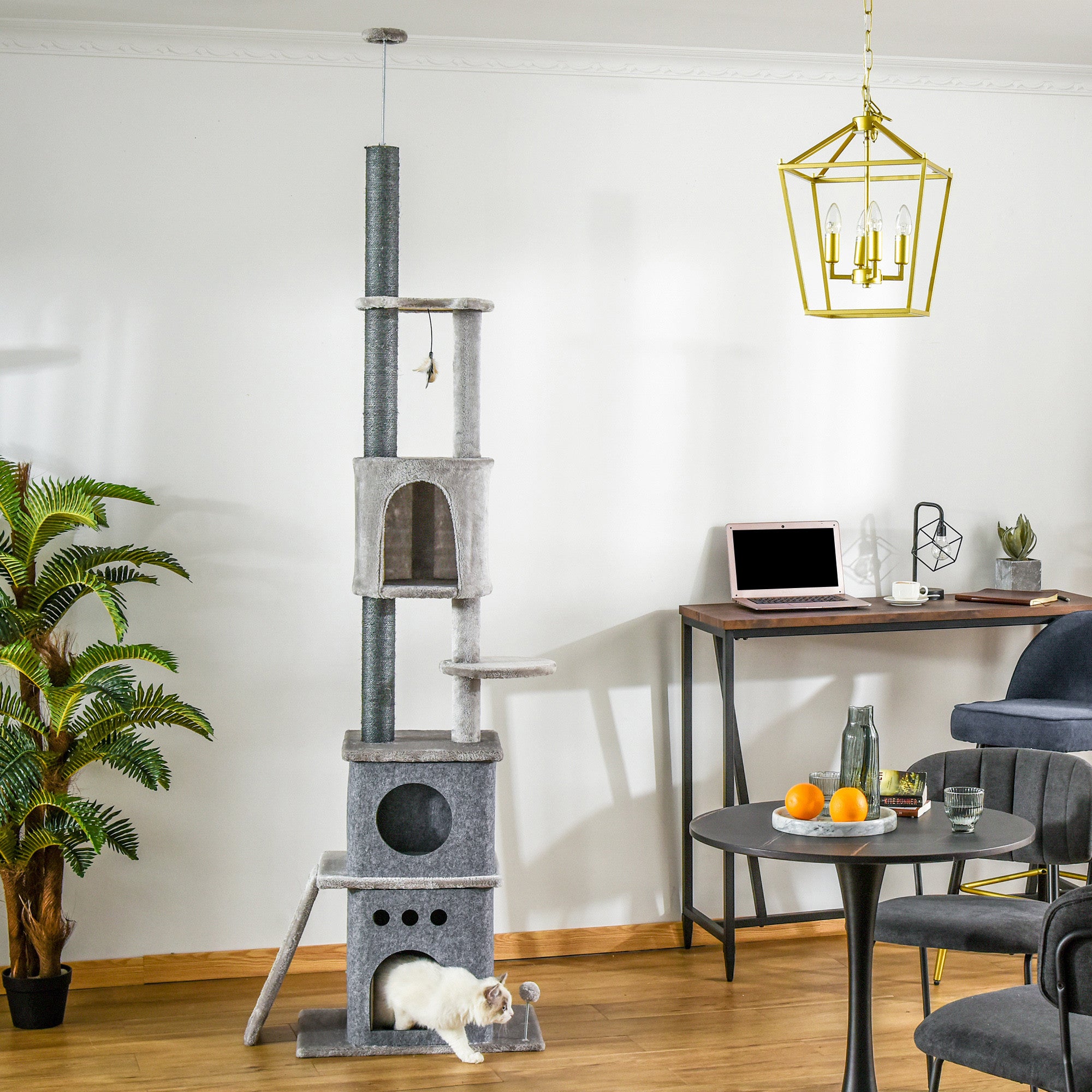 XXL Kissan kiipeily-/raapimispuu 225-255cm, Harmaa