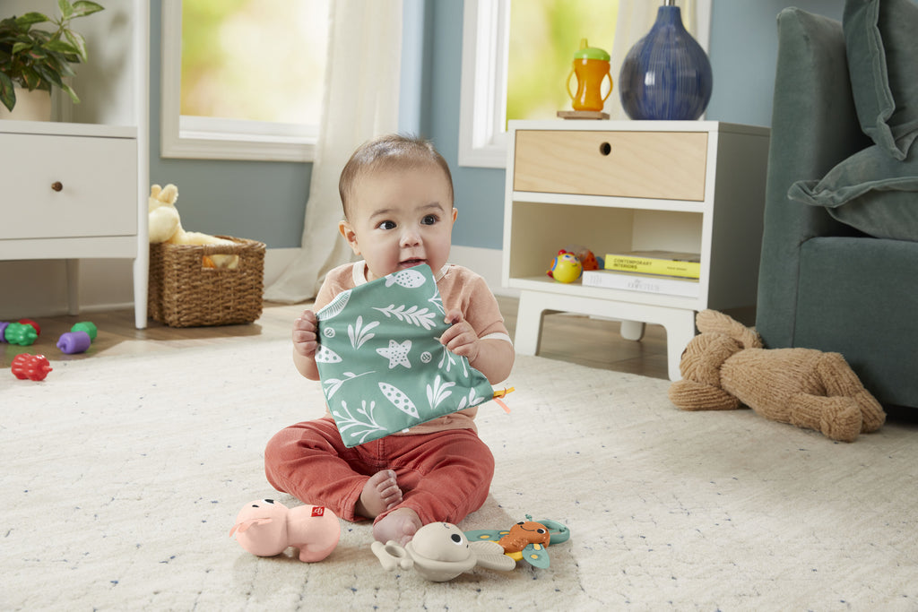 FISHER-PRICE SENSIMALS -LAHJAPAKKAUS