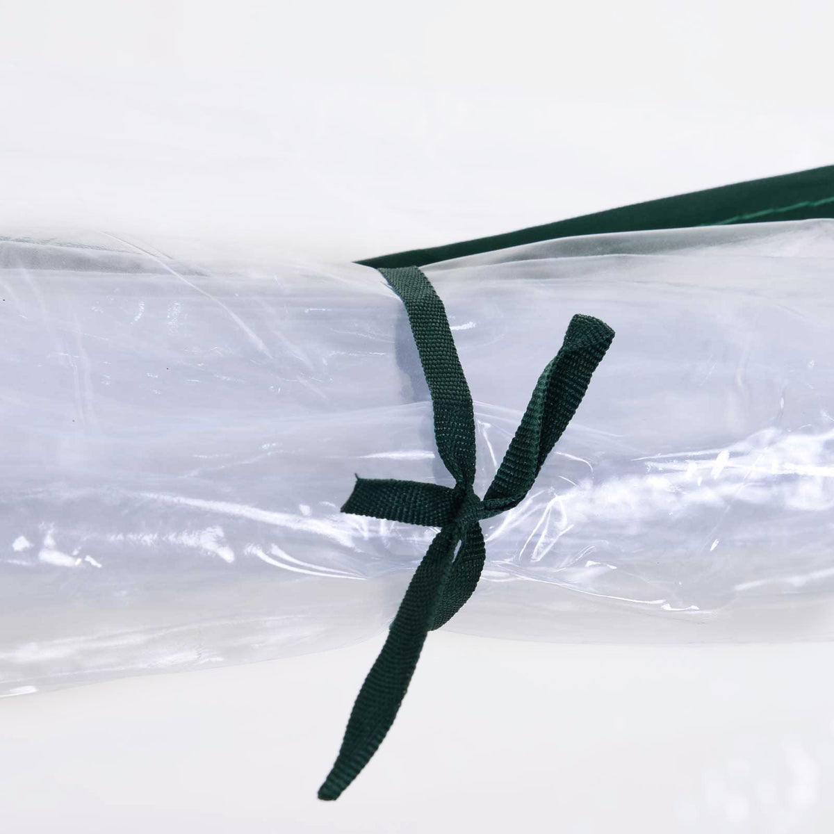 Tunnelikasvihuone 250x100x80cm, Läpinäkyvä
