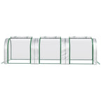 Tunnelikasvihuone 295 x 100 x 80 cm, läpinäkyvä