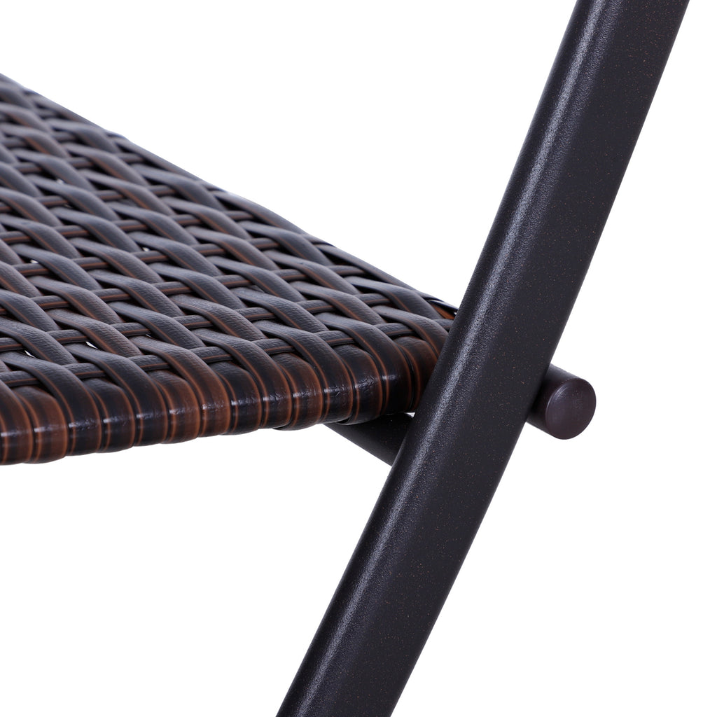 Polyrottinki Bistrosetti, Ruskea