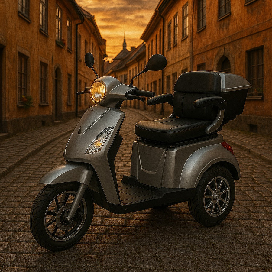 Senioriskootteri 1000 W – 25 km/h, 48V20Ah, varashälytin