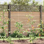 Kasvituet 5 kpl spiraali 170 cm Galvanoitu teräs