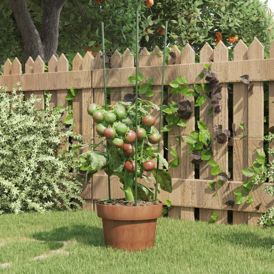 Stöd för trädgårdsväxter, 3 ringar, 5 st, gröna, 60 cm, stål
