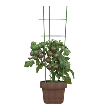 Stöd för trädgårdsväxter, 3 ringar, 5 st, gröna, 60 cm, stål