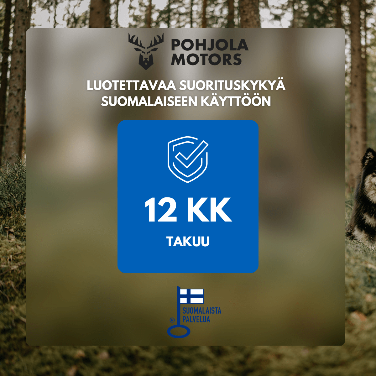 Halkomakone 6T – 3000 W, pystymalli, halkaisukapasiteetti 550 x 300 mm