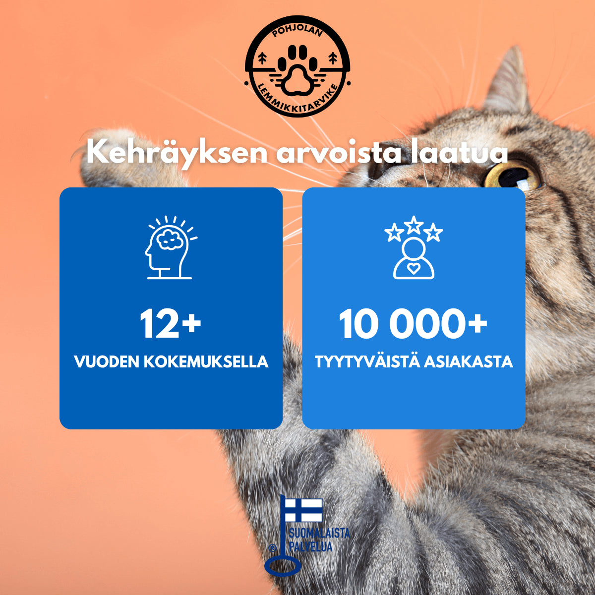 POHJOLAN LEMMIKKITARVIKE Kissan kiipeily-/raapimispuu 141cm, Harmaa