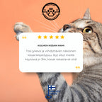 POHJOLAN LEMMIKKITARVIKE Kissan kiipeily-/raapimispuu 143 cm, vaalean harmaa