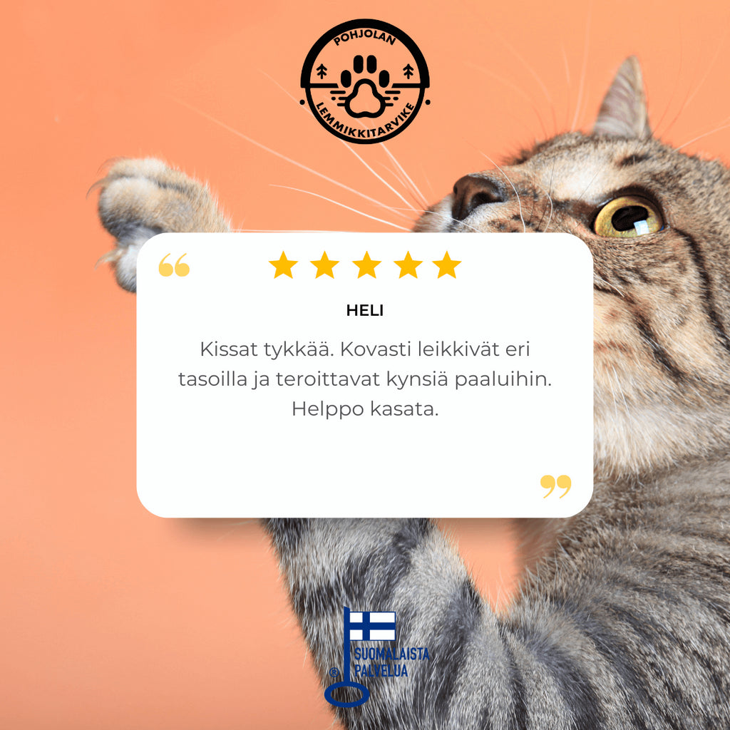 Pohjolan Lemmikkitarvike Kissan kiipeileyseinä 2
