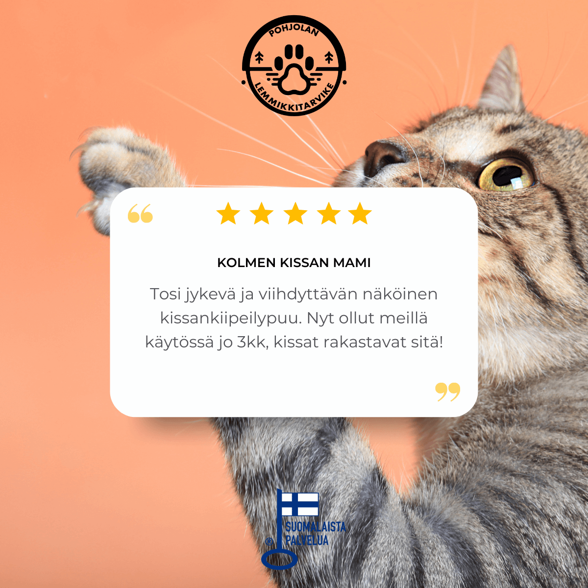 Kattklättervägg – väggmontering, hängmatta, 2 grottor, grå