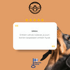 POHJOLAN LEMMIKKITARVIKE Koiratarhan Elementti 1kpl + Ovi Elementti, 152 x 182cm, Musta