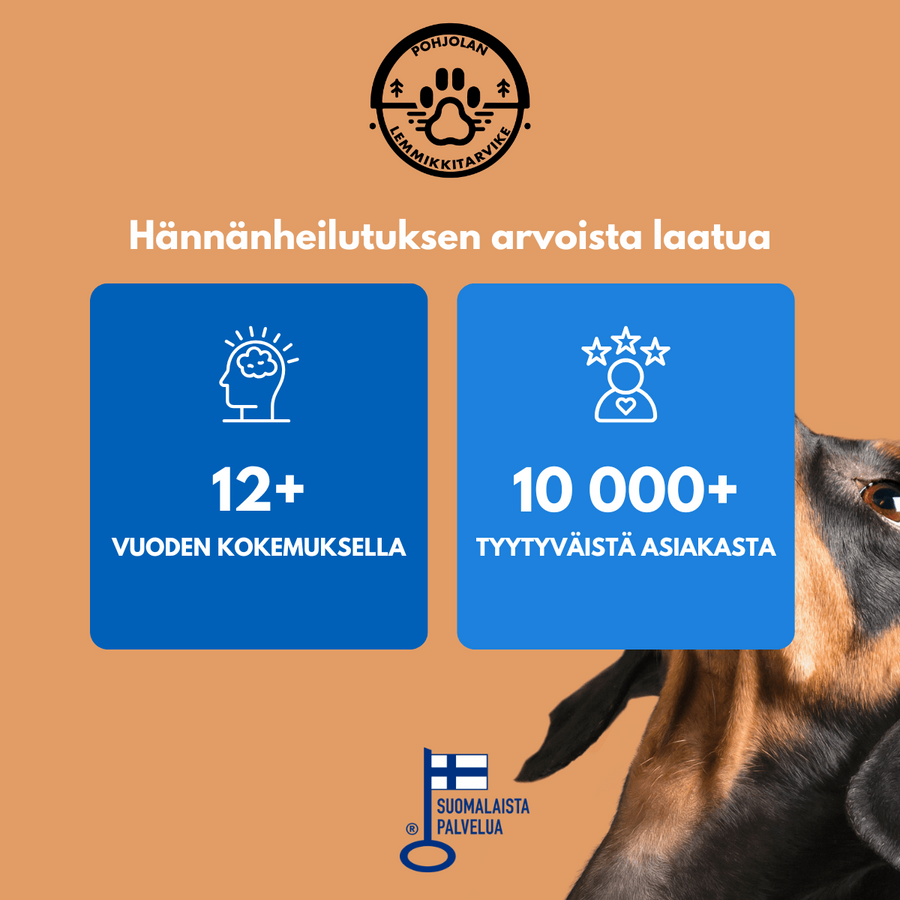 Husdjursbur 107 x 69 x 75 cm – hopfällbar, 2 dörrar, dubbellås, svart