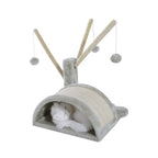 Kissan pieni raapimapuu