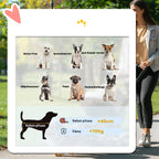 3-in-1 lemmikkirattaat pienille eläimille – taitettava alumiinirunko, max 10 kg, sininen