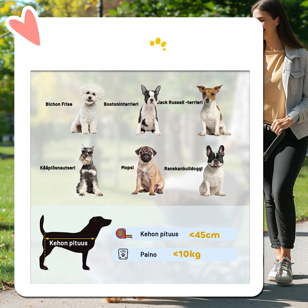 3-in-1 lemmikkirattaat pienille eläimille – taitettava alumiinirunko, max 10 kg, sininen