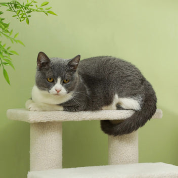 Ljusfärgad kattstege 60 cm