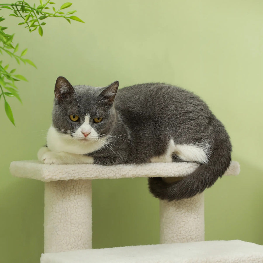 Ljusfärgad kattstege 60 cm