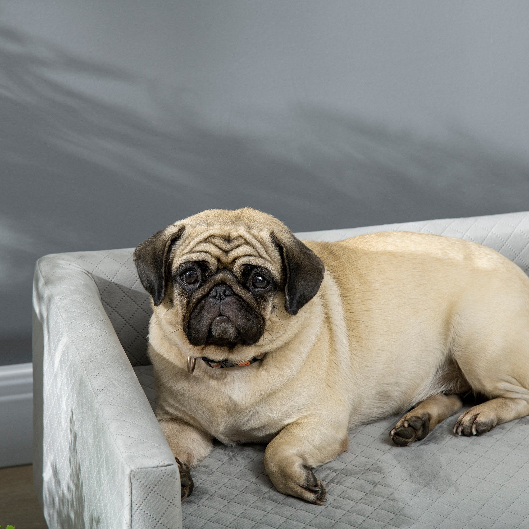 Skandinaavinen lemmikkisohva pienille koirille ja kissoille – tummanharmaa, tyynyllä