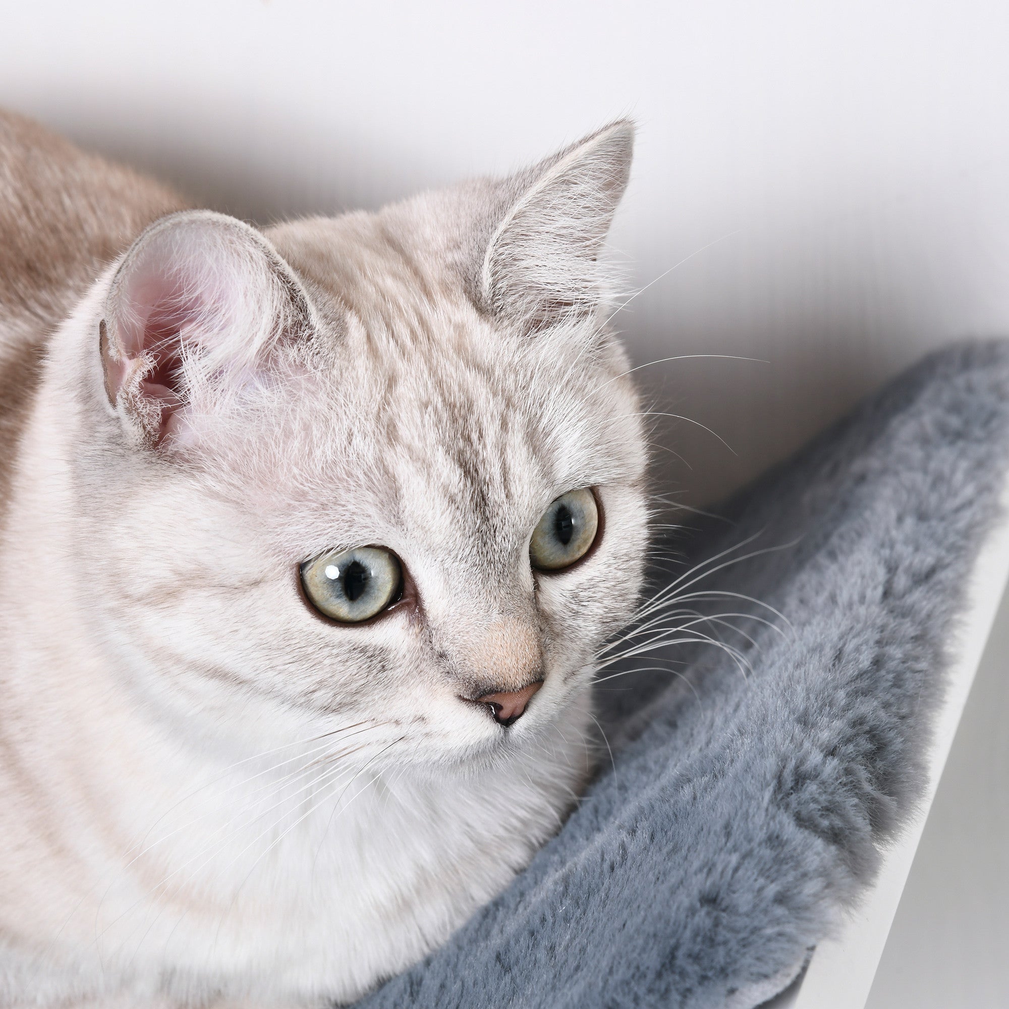 Seinään kiinnitettävä kissanhylly fleecellä – valkoinen/harmaa, 41 cm, enintään 10 kg