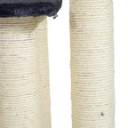 Kissan kiipeilypuu + portaat