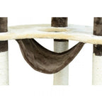 Kissan raapimispuu 153 cm