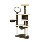 Kissan raapimispuu 153 cm