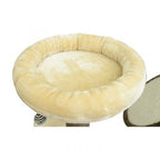 Kissan raapimispuu 153 cm