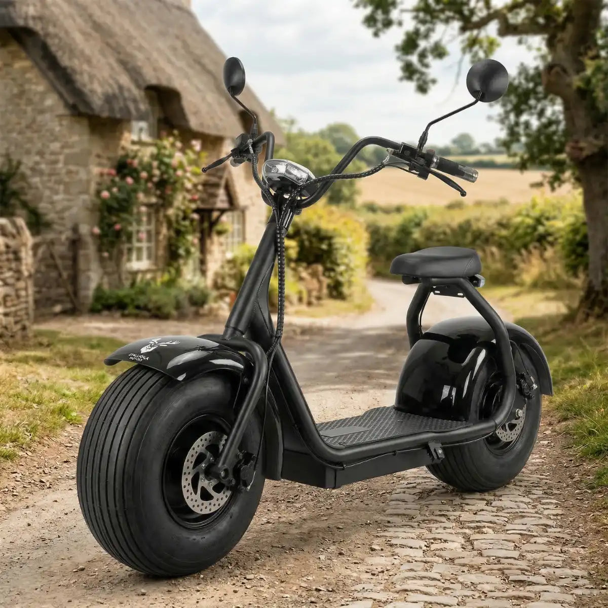 Arktis Motors Billig elscooter 1000W 2.0 Premium, 25 km/h, svart