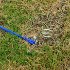 Koiran agility-sarja