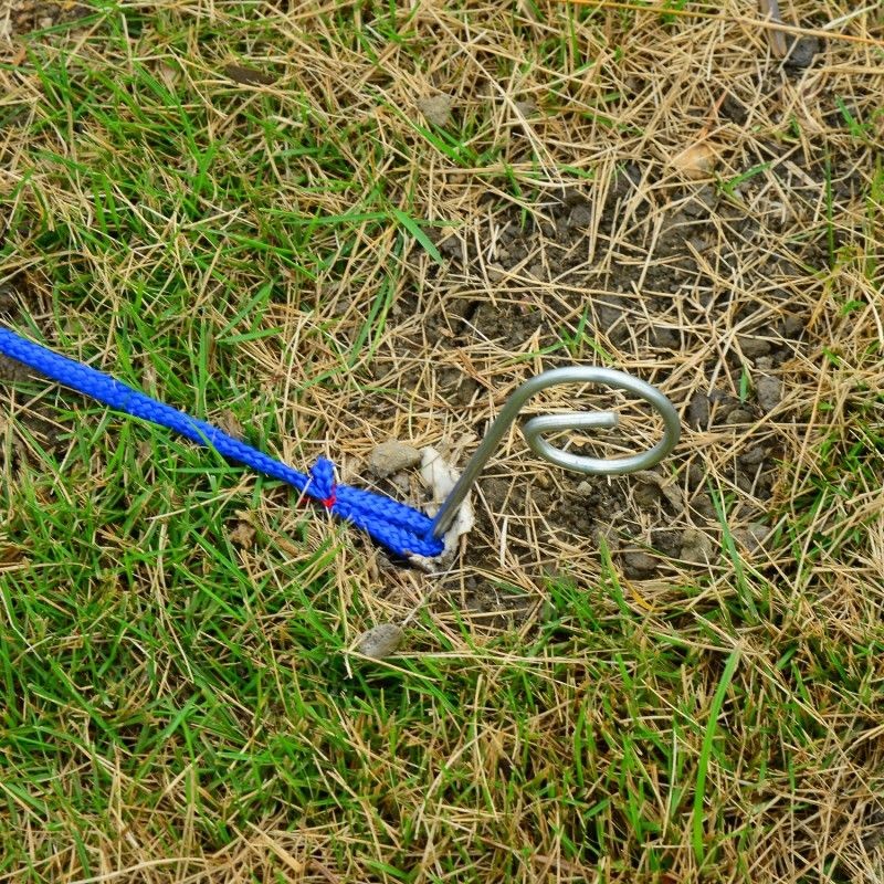 Koiran agility-sarja