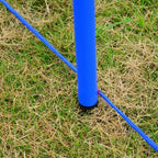 Koiran agility-sarja