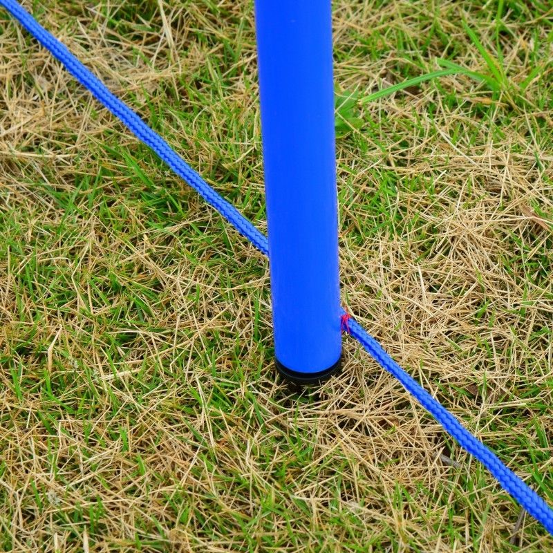 Koiran agility-sarja