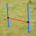 Koiran agility-sarja