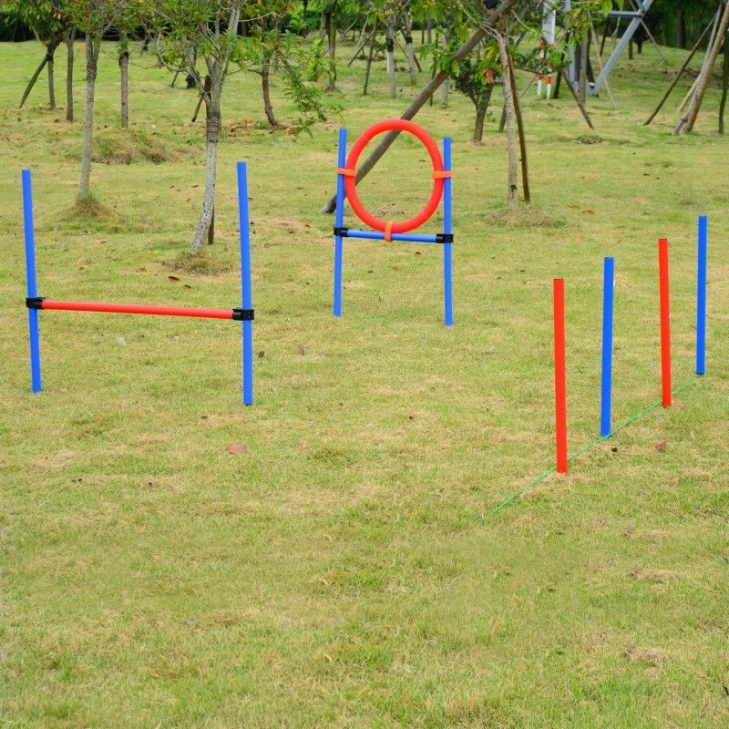 Koiran agility-sarja