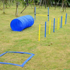 Koiran agilityrata 12 osainen