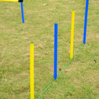 Koiran agilityrata 12 osainen