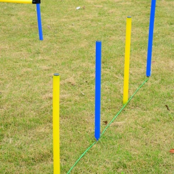 Koiran agilityrata 12 osainen