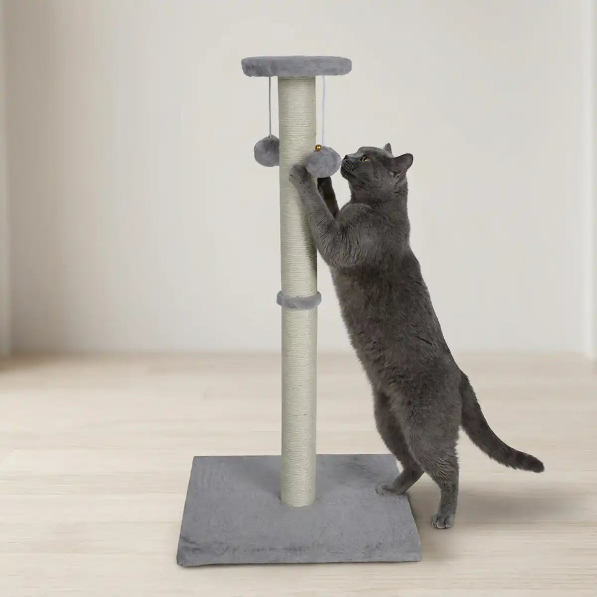 Pohjolan Lemmikkitarvike Kissan kiipeily-/raapimispuu 81 cm, Vaalean harmaa