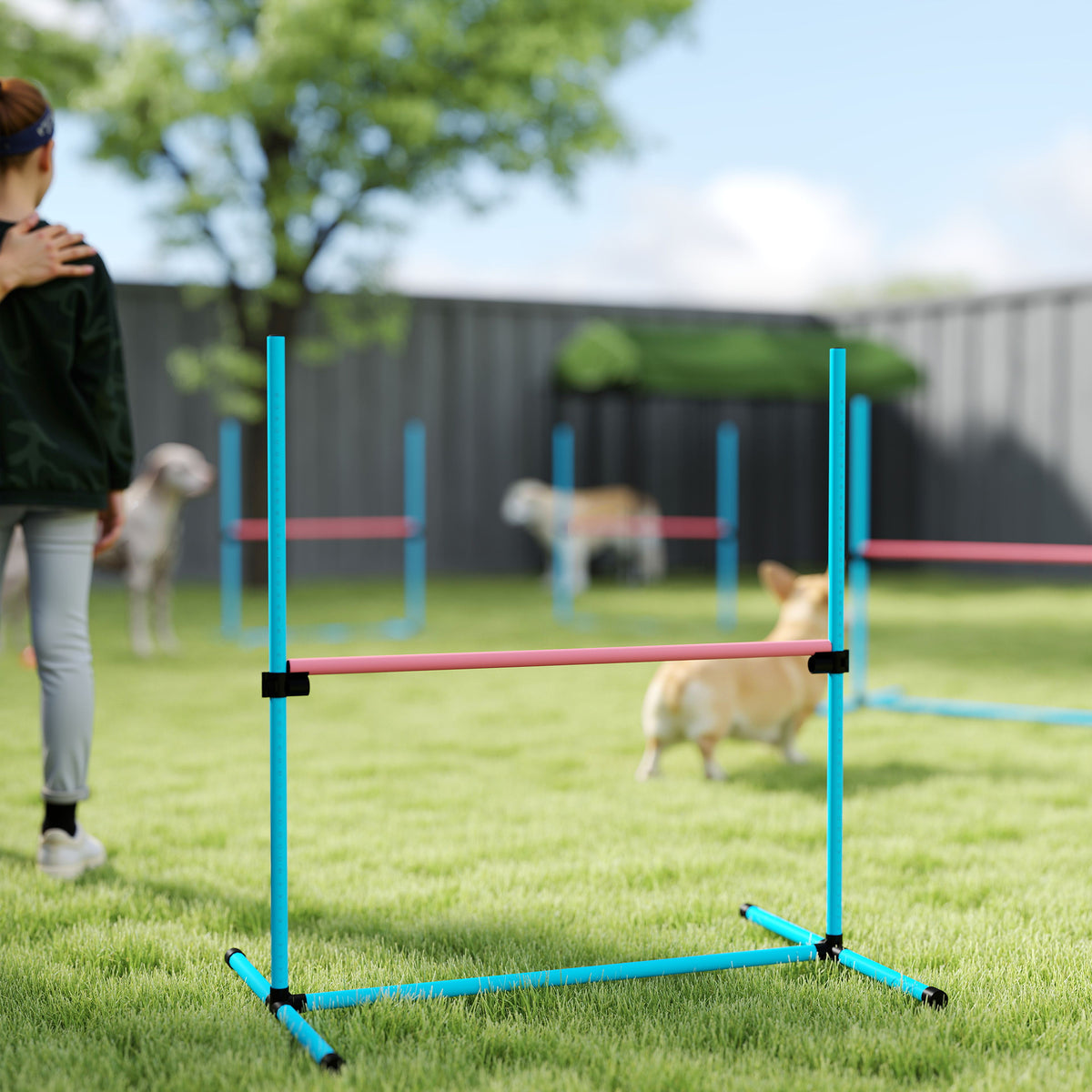 Koiran agility-esteet 4 kpl, korkeus säädettävä, kantolaukku, 99 x 65 x 94 cm, vaaleansininen