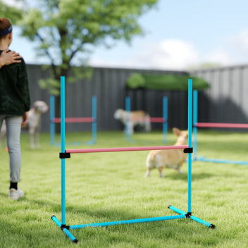 Koiran agility-esteet 4 kpl, korkeus säädettävä, kantolaukku, 99 x 65 x 94 cm, vaaleansininen